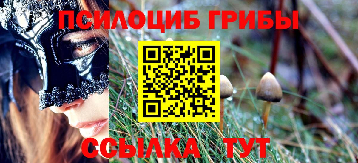 Псилоцибиновые грибы мицелий Воркута